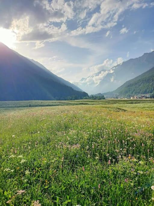 Villa Costa Da Lori كوجن المظهر الخارجي الصورة